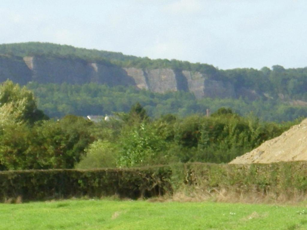 ホテル Ty Llew Llandysilio 部屋 写真